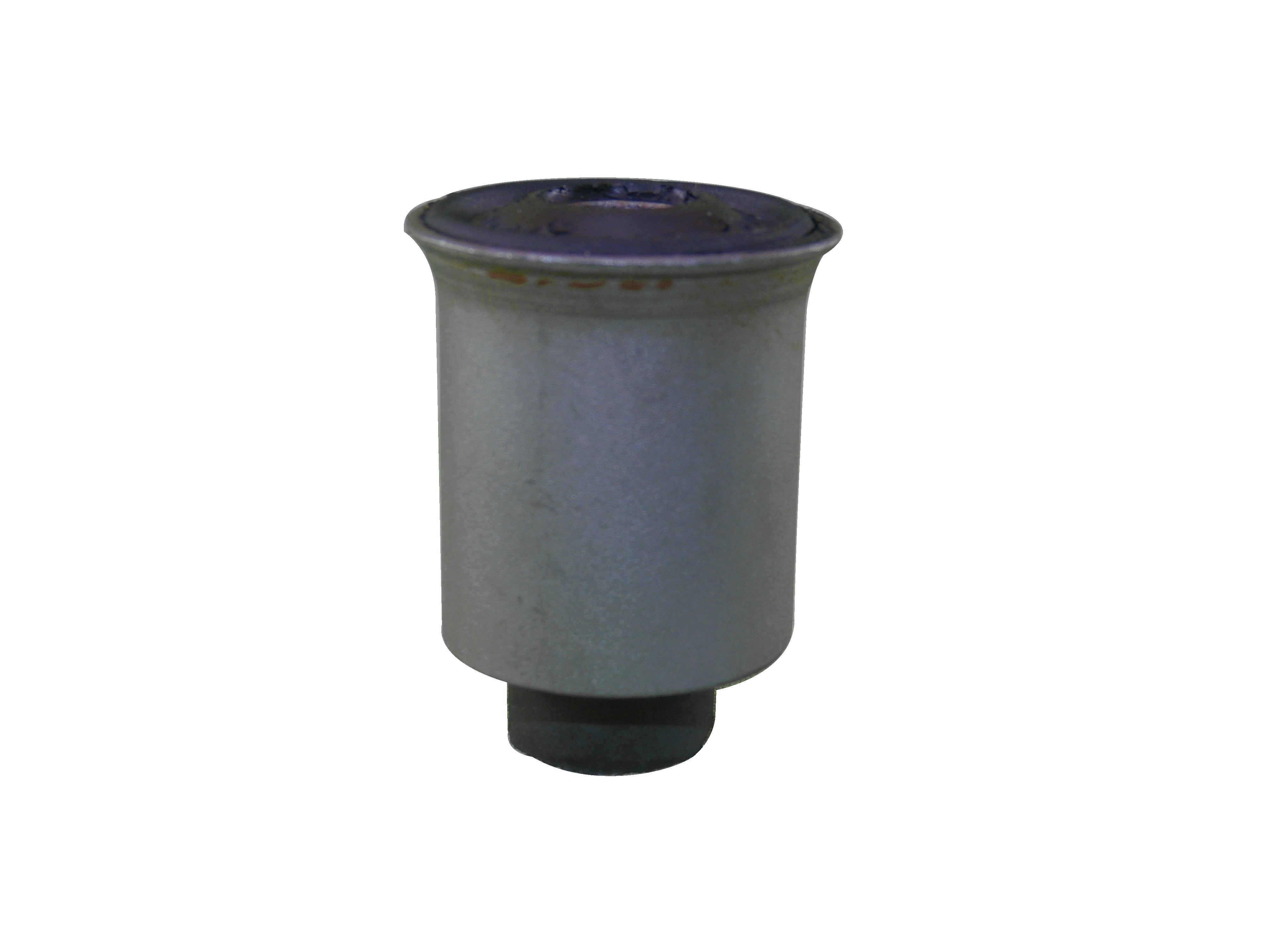 BUJEPARRILLAINF.R-18(C/PEST)