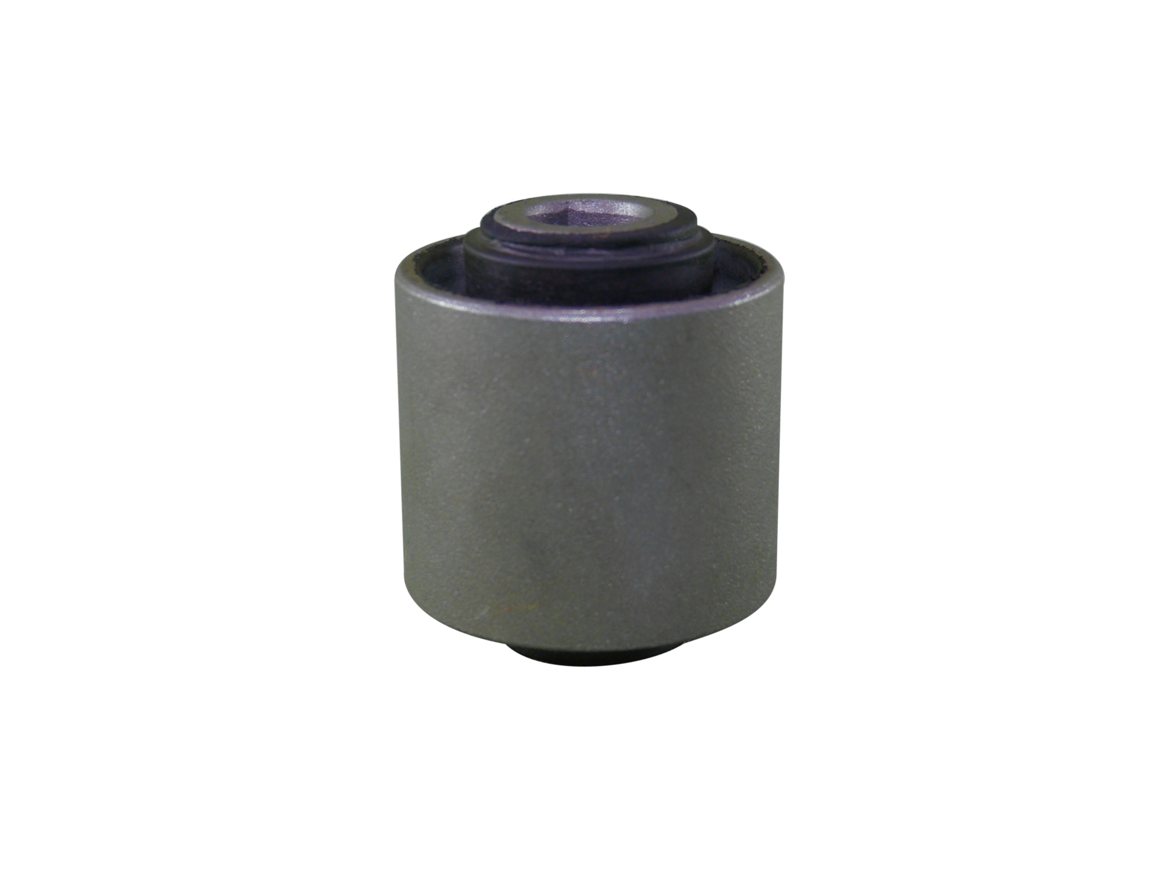 BUJEPARRILLAINF.LISOCLIO