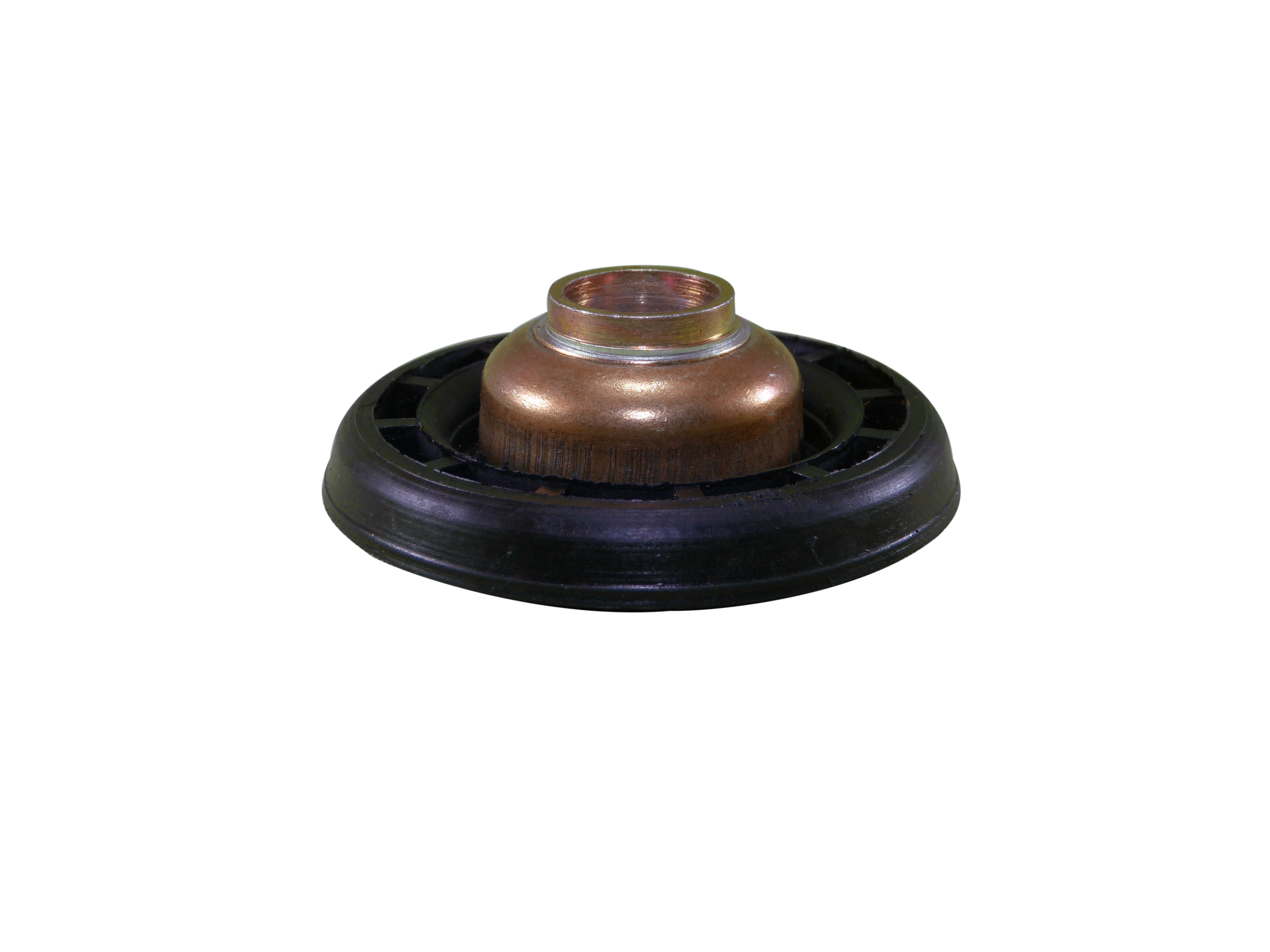 CHAPASUPERIORCUBRECAZOLETACLIO-LAGUNA-CLIO2-KANGOO