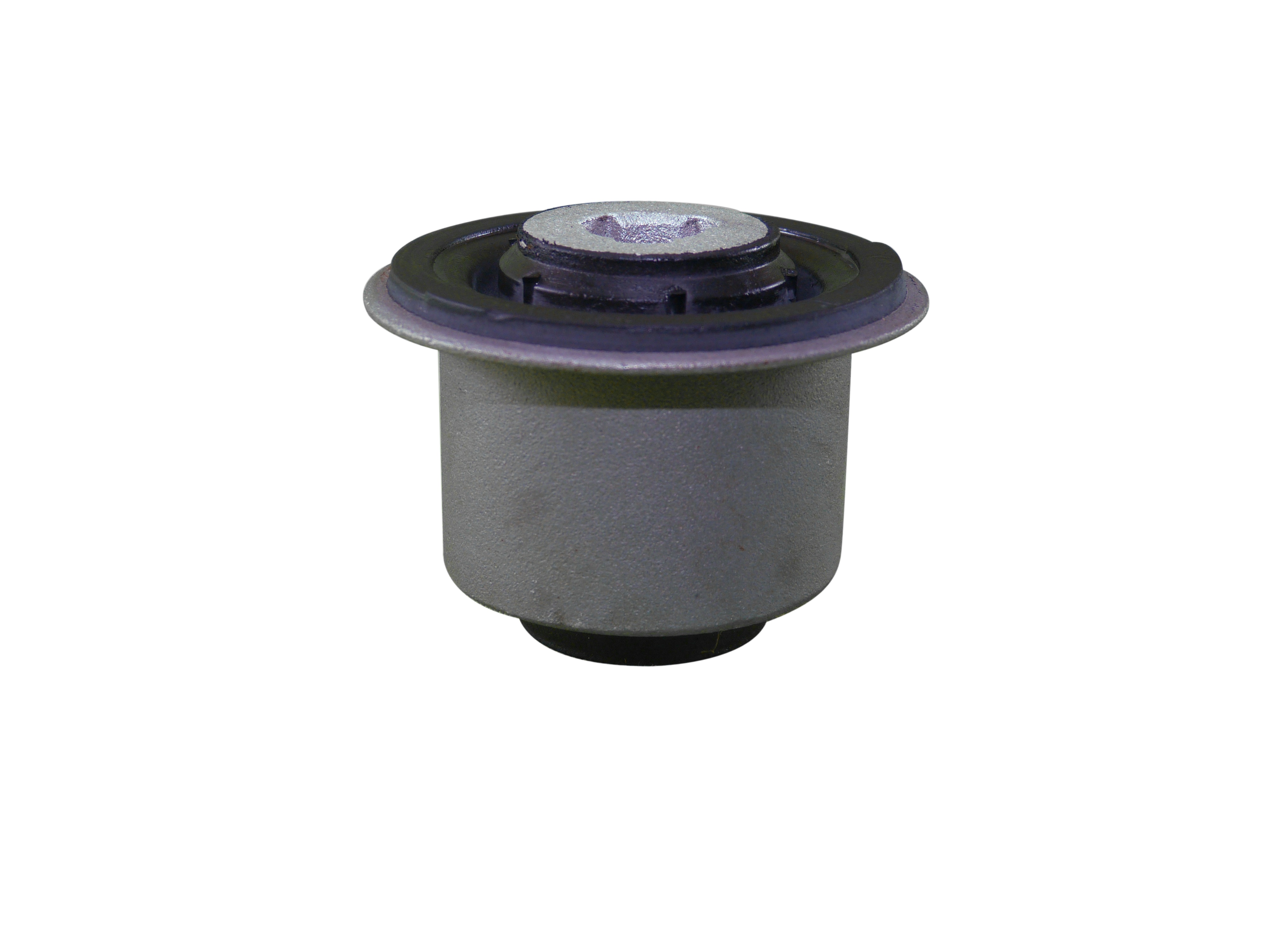 BUJEPARRILLAKANGOO-CLIOII-SYMBOL