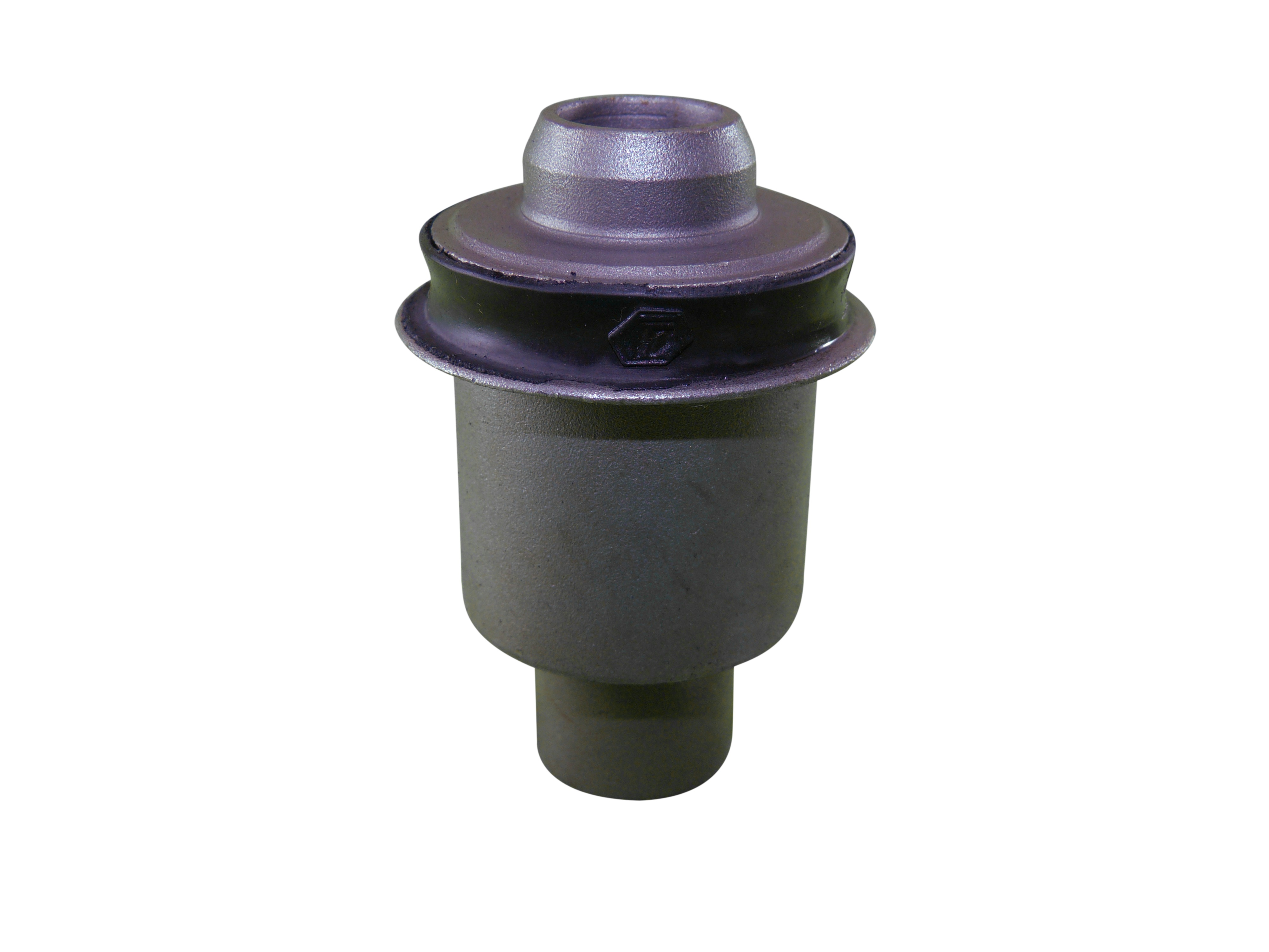 BUJEPUENTETRASEROTIIDA