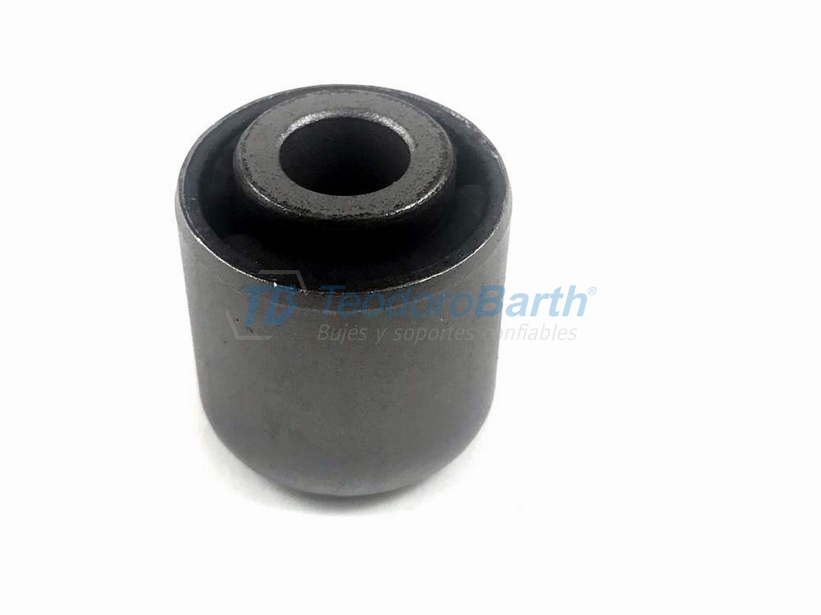 BUJESUSP.TRASFOCUS99/..